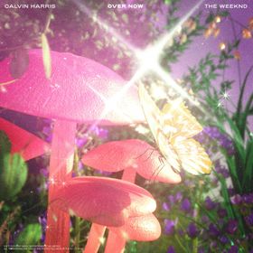 Calvin Harris & The Weeknd - Over Now ( Instrumental )