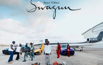 Seyi Vibez - Swaggu Album